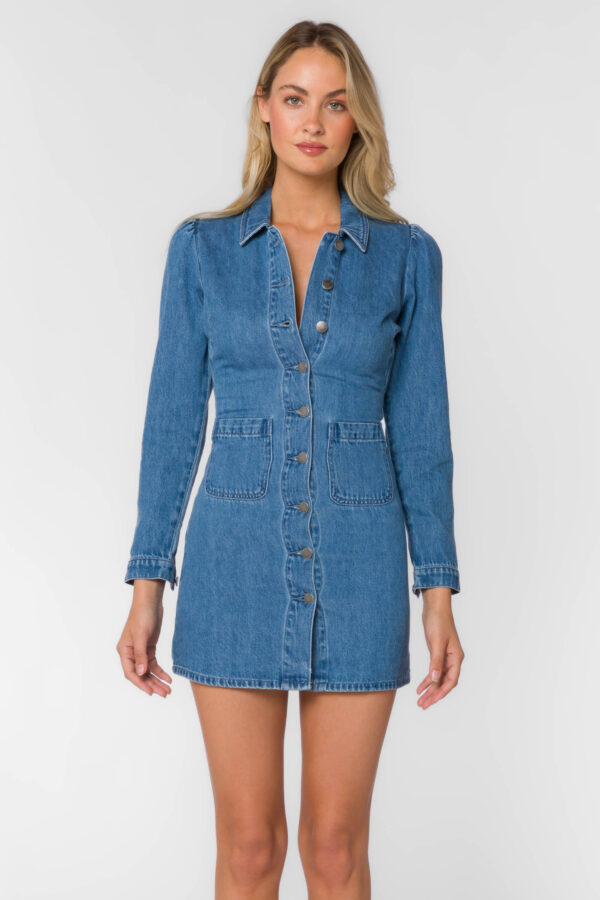 "daphne" blue denim dress